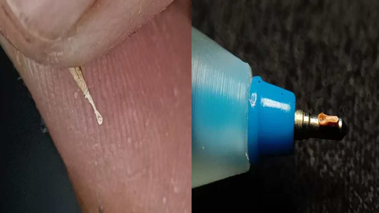 Guinness World Record : ప్రపంచ రికార్డ్ బద్దలు కొట్టిన ఈ వస్తువు ఏంటో కనిపెట్టగలరా?