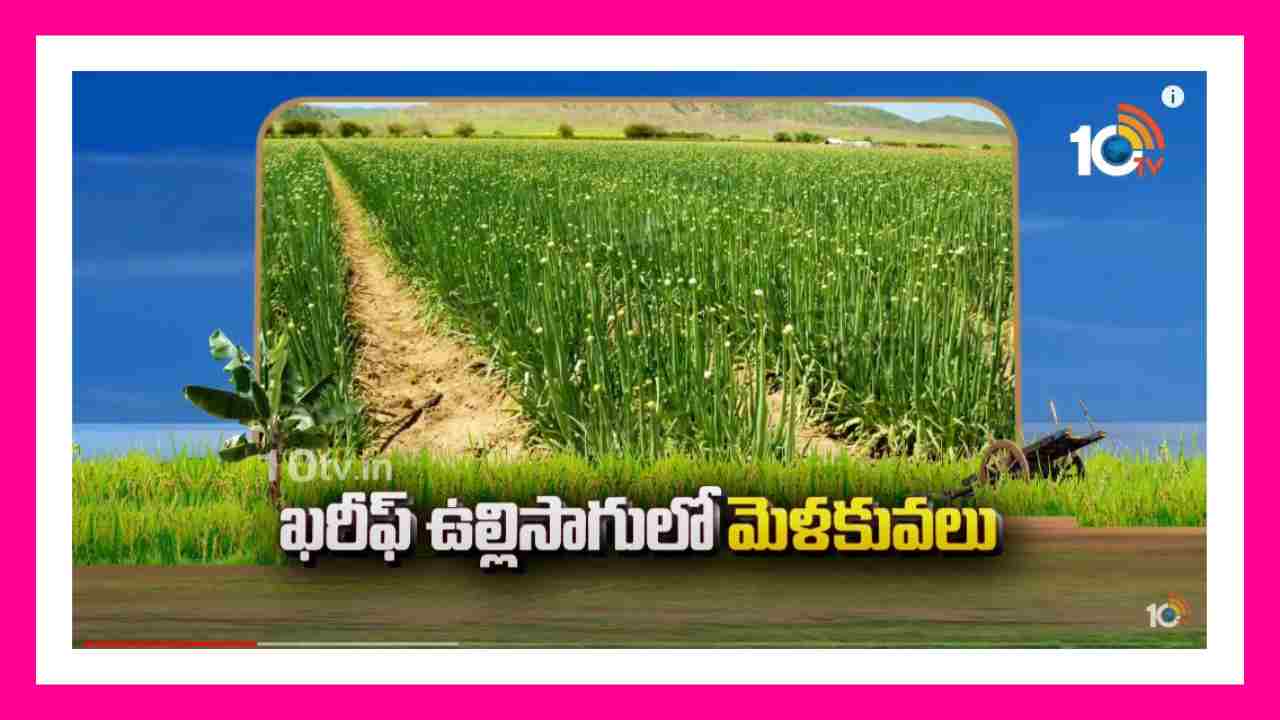 Onion Cultivation : ఖరీఫ్ ఉల్లిసాగులో మెళకువలు.. అధిక దిగుబడుల కోసం చేపట్టాల్సిన యాజమాన్యం