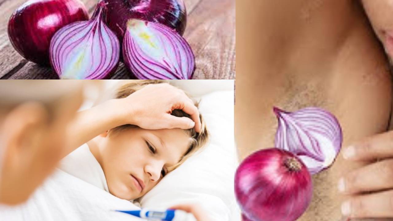 Onion In Underarms : చంకలో ఉల్లిగడ్డ పెట్టుకుంటే జ్వరం వస్తుందా..? నిజమెంత..?