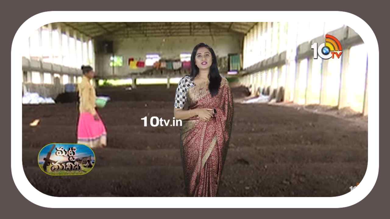 Organic Fertilizers : నాణ్యమైన సేంద్రీయ ఎరువుల తయారీ