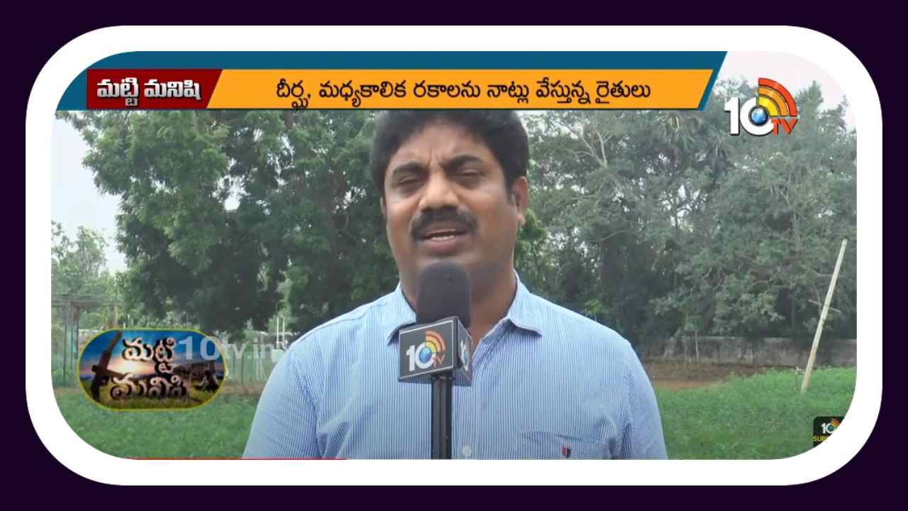 Paddy Cultivation : అధిక దిగుబడులకోసం వరినాట్లలో పాటించాల్సిన యాజమాన్యం