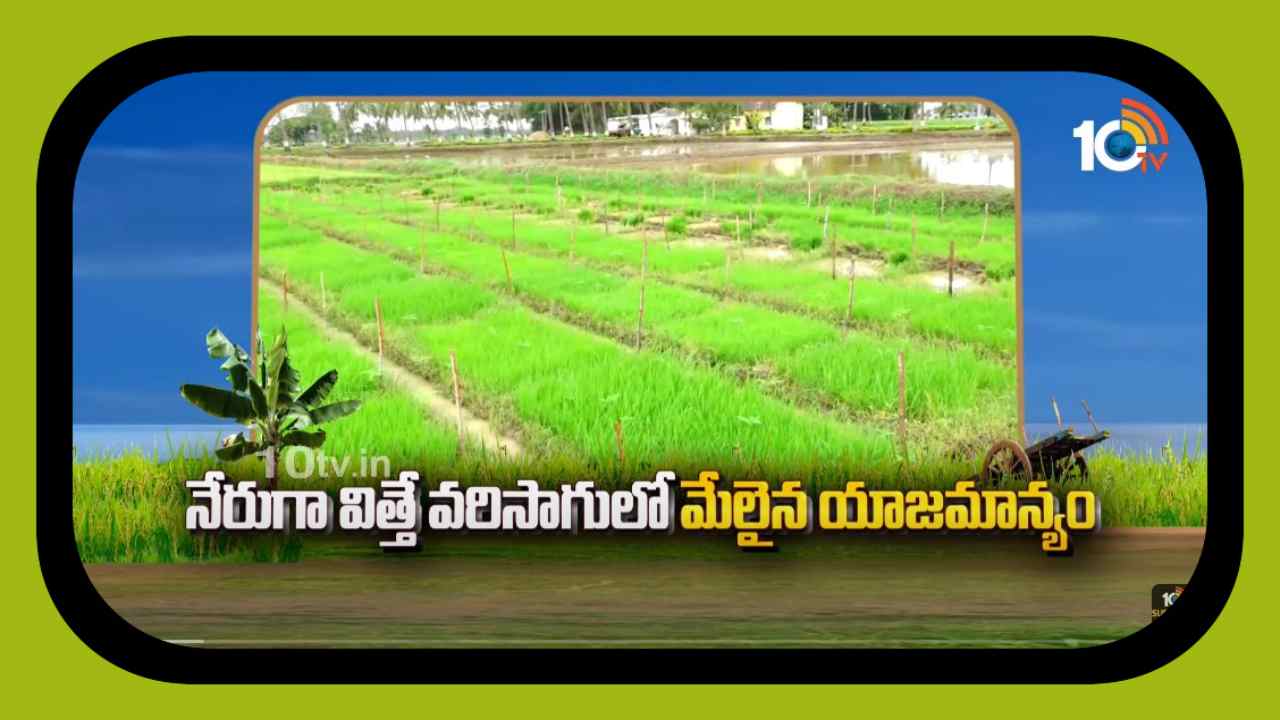 Paddy Transplanter : వరి వెదజల్లే పద్ధతికే మొగ్గుచూపుతున్న రైతులు