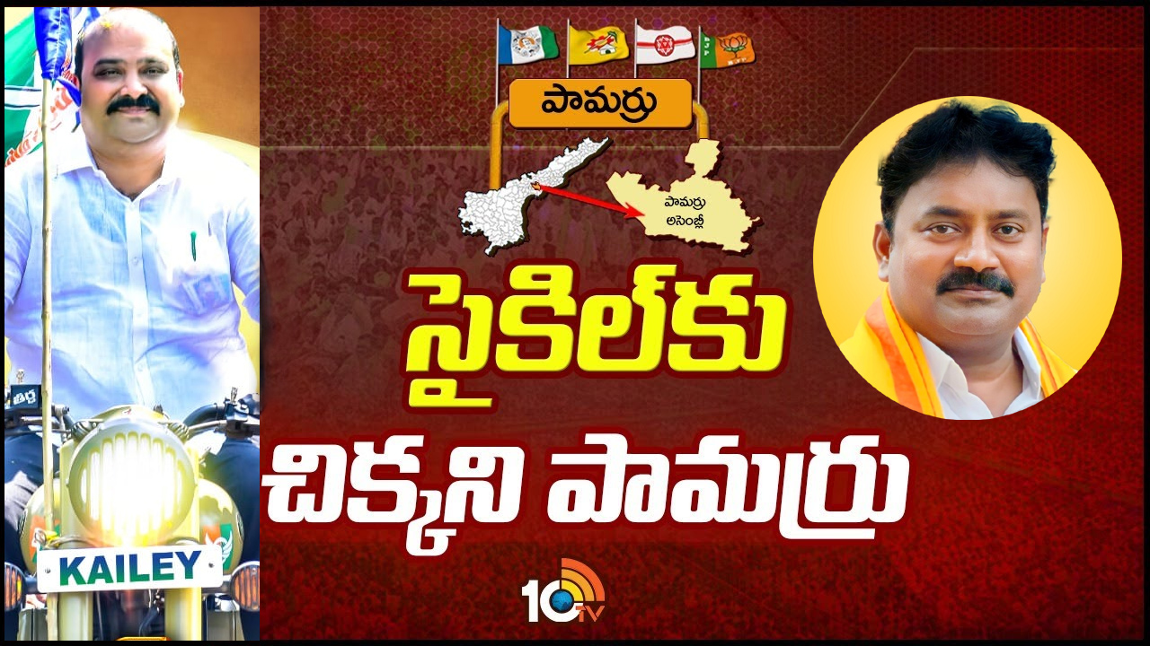 Pamarru Constituency: ఎన్టీఆర్ సొంత నియోజకవర్గం పామర్రులో టీడీపీకి ఎందుకీ పరిస్థితి?