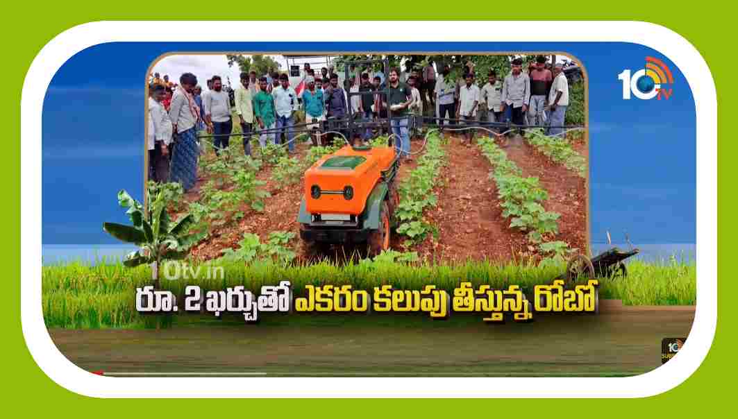Robotic Technologies : పంటపొలంలో కలుపు తీస్తున్న రోబో…తగ్గిన కూలీల ఖర్చు