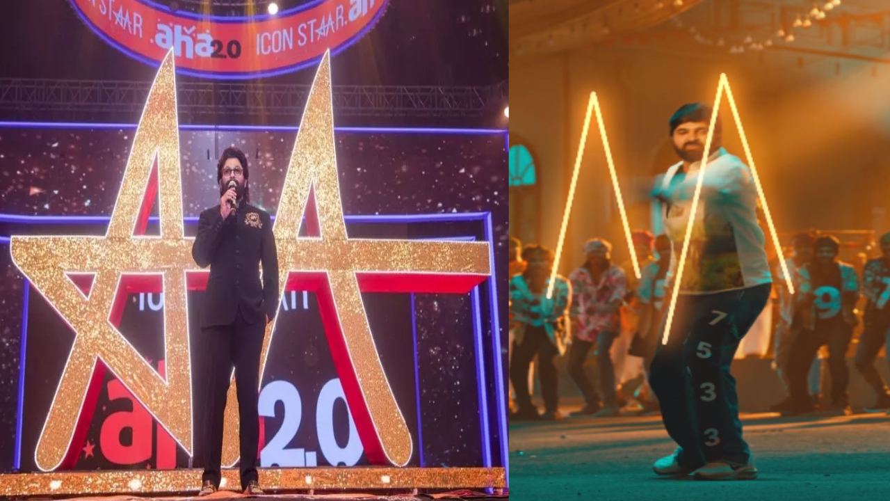 Allu Arjun: శ్రీవిష్ణు సాంగ్ తో కొత్త వివాదం.. AA బ్రాండ్ కి అవమానం.. మండిపడుతున్న ఐకాన్ స్టార్ ఫ్యాన్స్