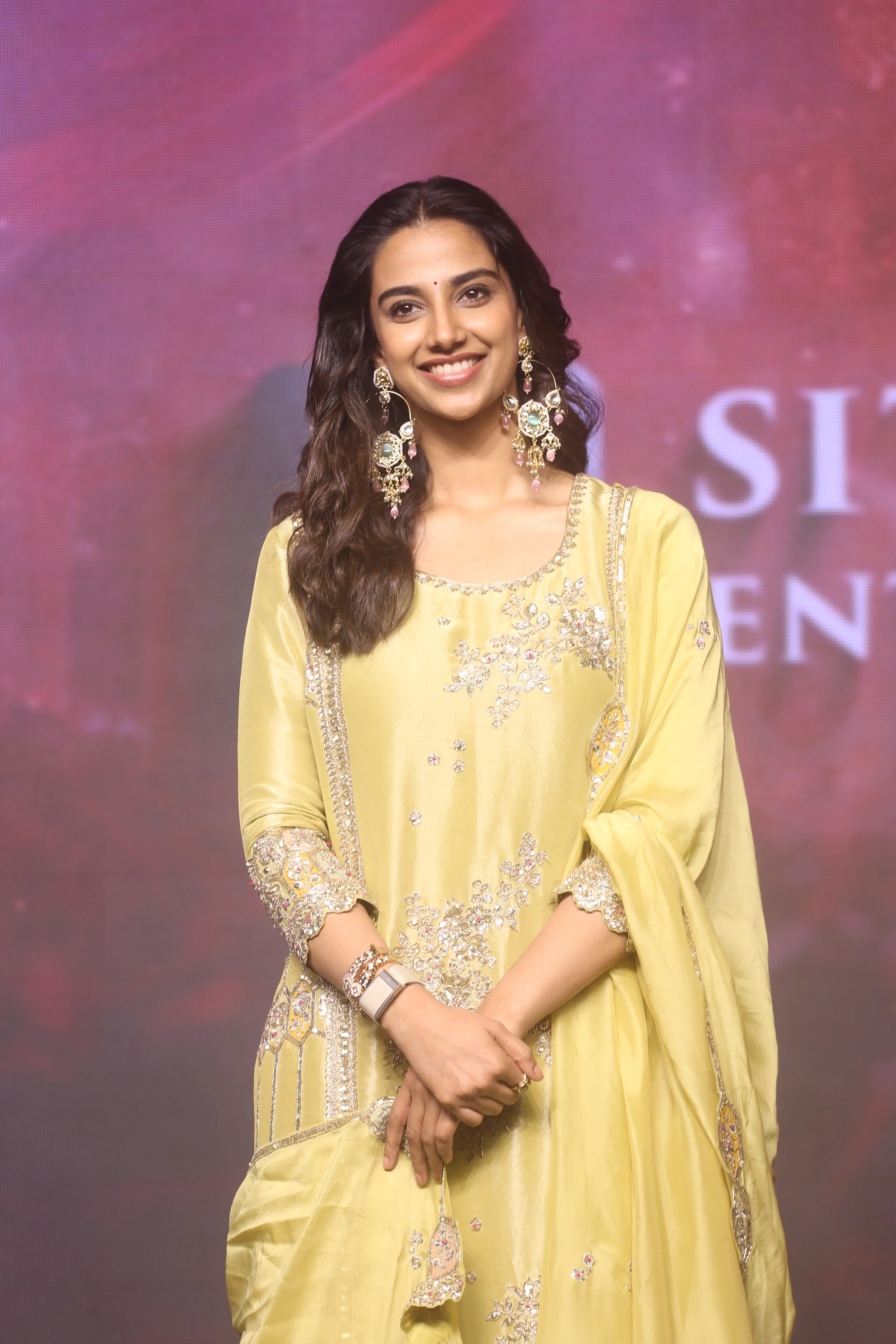 Anaganaga oka raju success celebrations