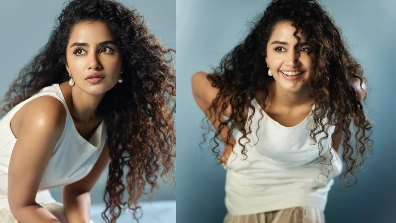 Anupama Parameswaran : కర్లీ హెయిర్ స్టైల్ తో.. అనుపమ పరమేశ్వరన్ అందాలు..