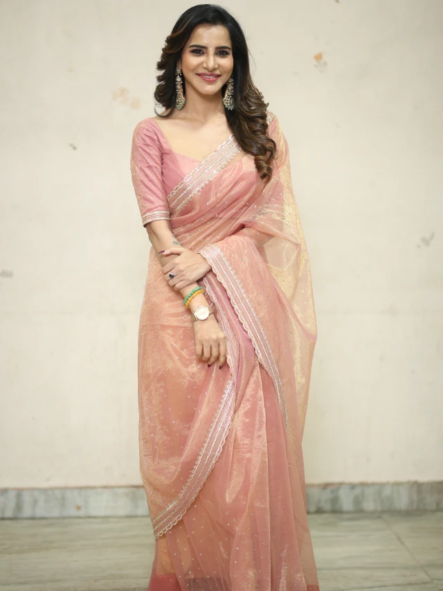Ashu Reddy Stunning Looks in Saree