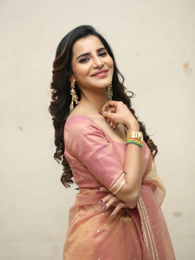 Ashu Reddy Stunning Looks in Saree