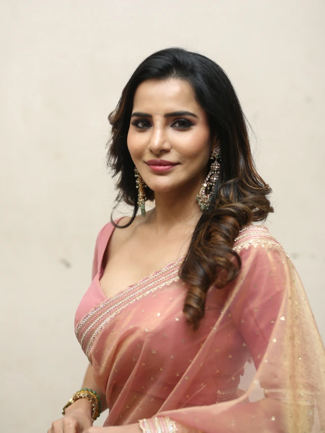 Ashu Reddy Stunning Looks in Saree
