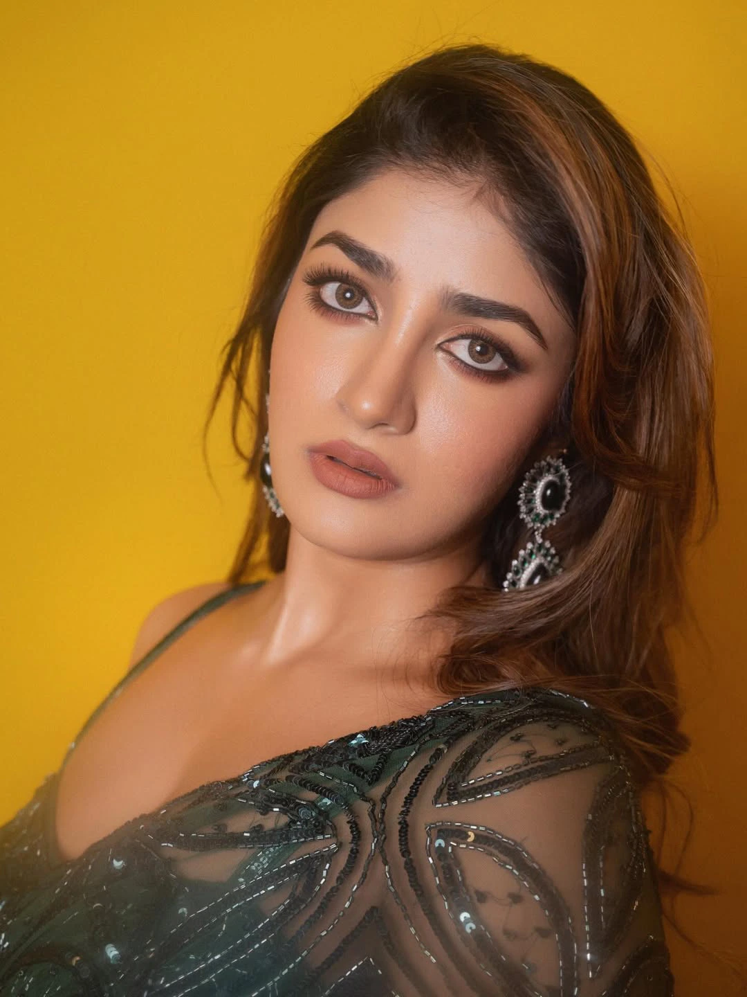 Dimple Hayathi Shines in Saree