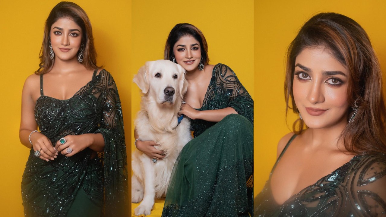 Dimple Hayathi : సంక్రాంతికి హిట్ కొట్టి.. చీరలో డింపుల్ హయతి మెరుపులు..