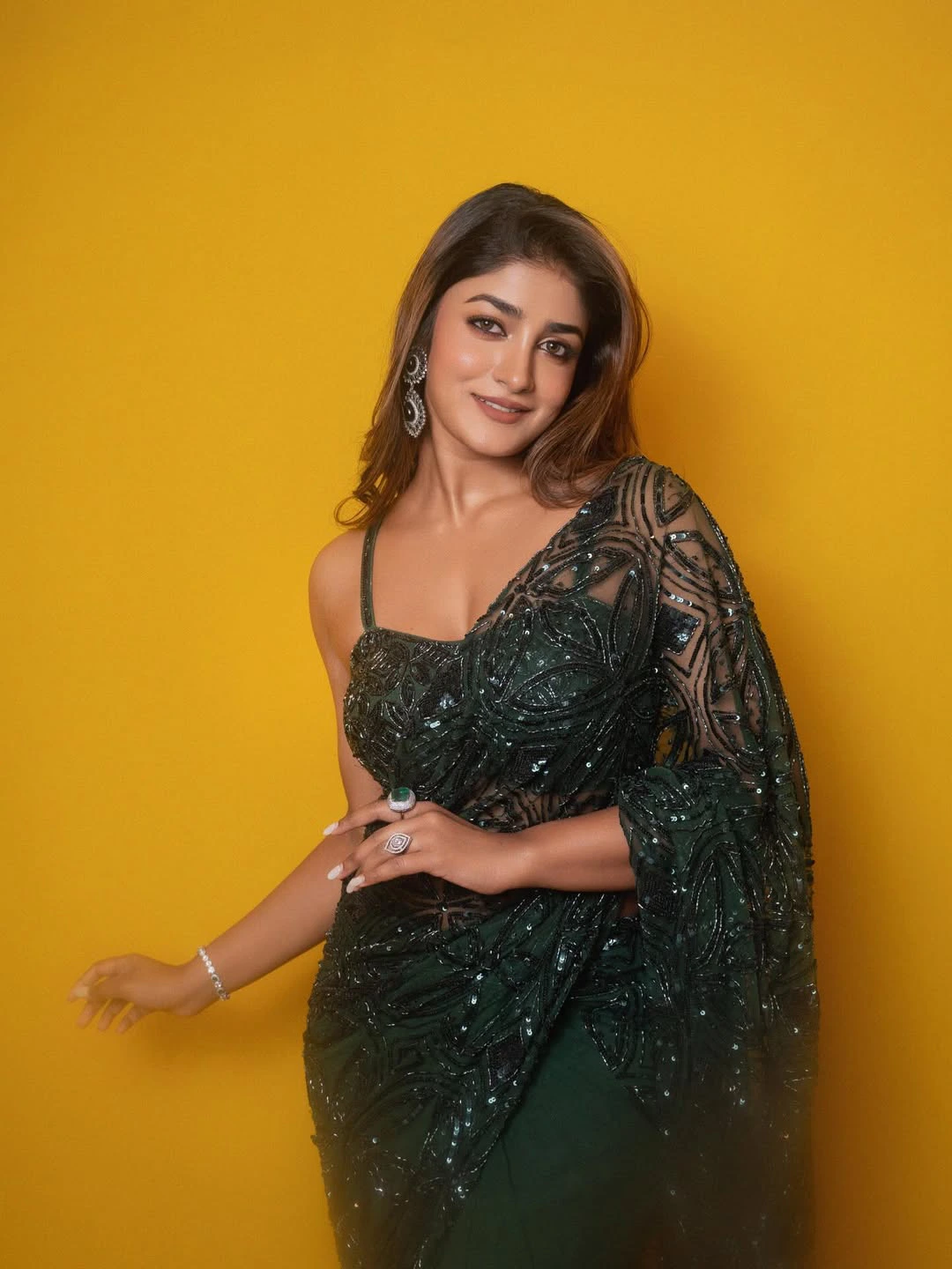 Dimple Hayathi Shines in Saree