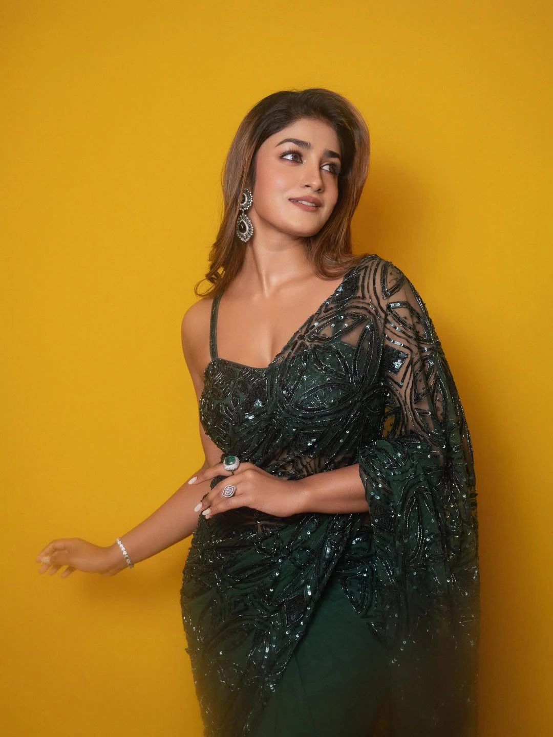 Dimple Hayathi Shines in Saree