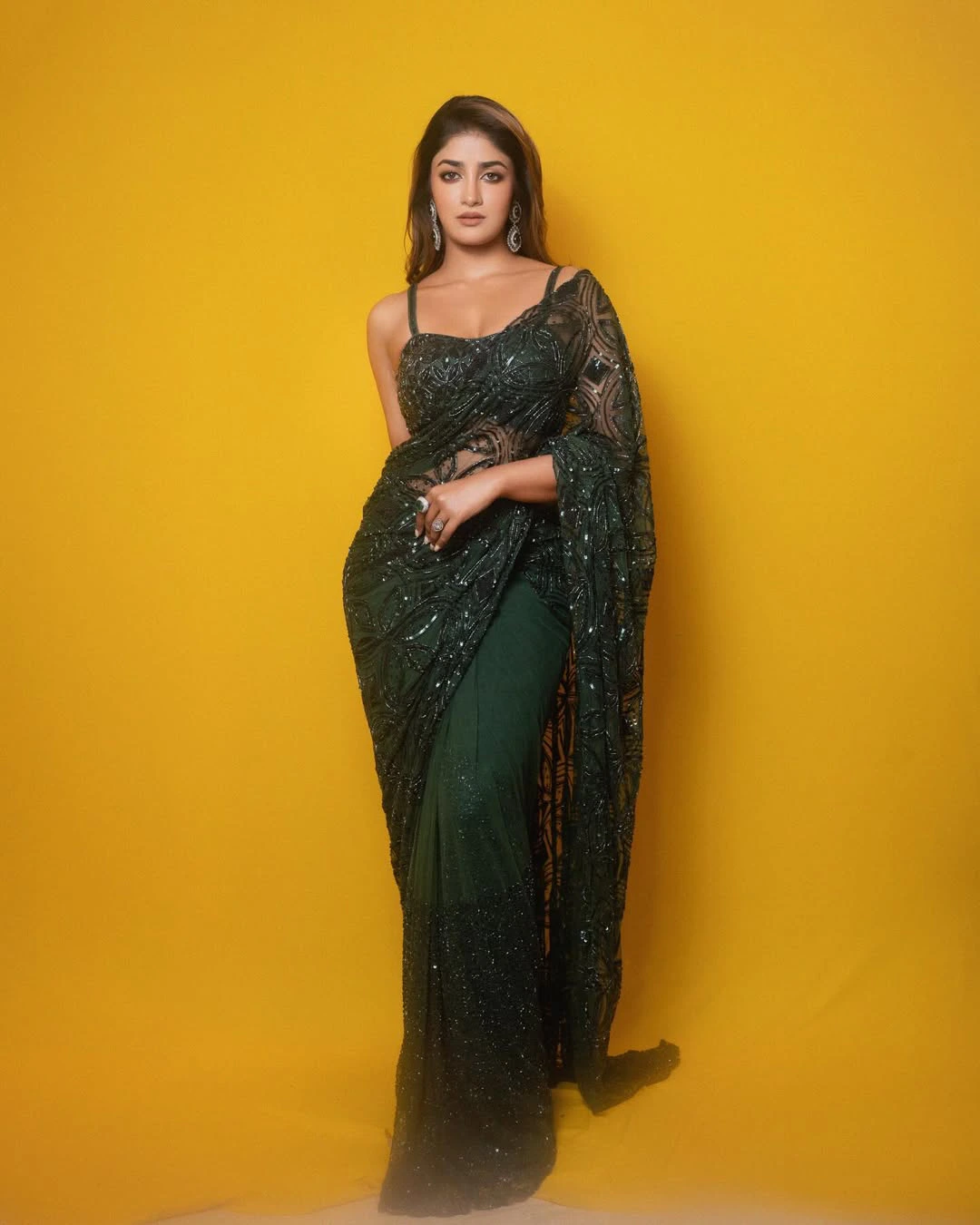 Dimple Hayathi Shines in Saree