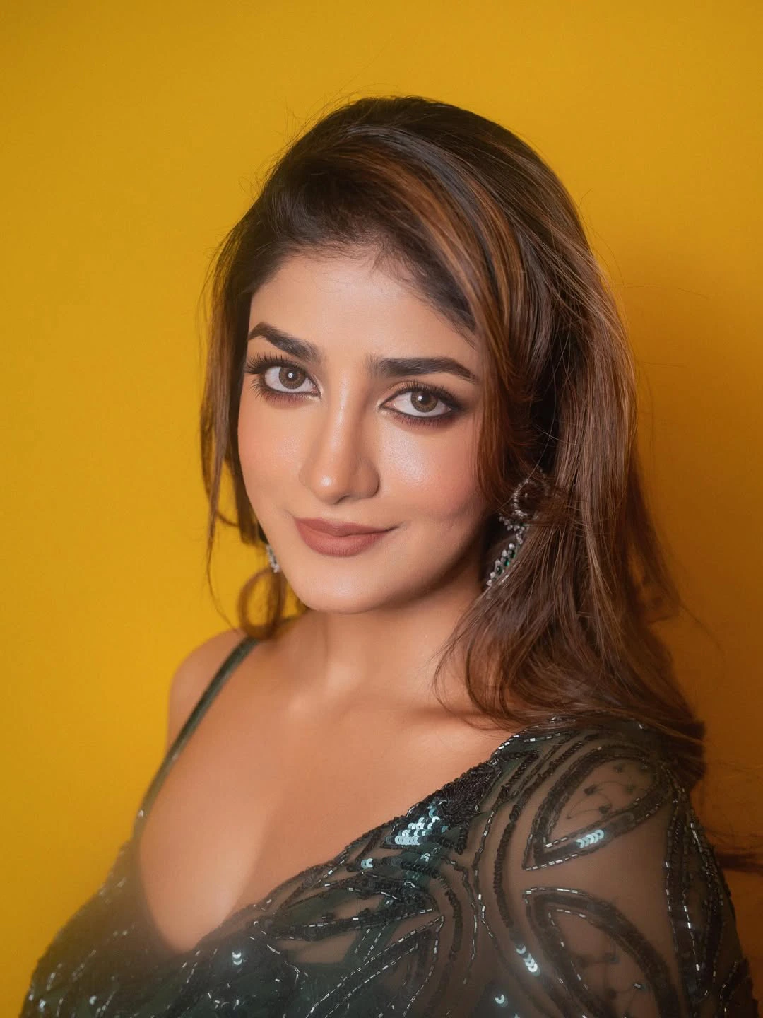 Dimple Hayathi Shines in Saree