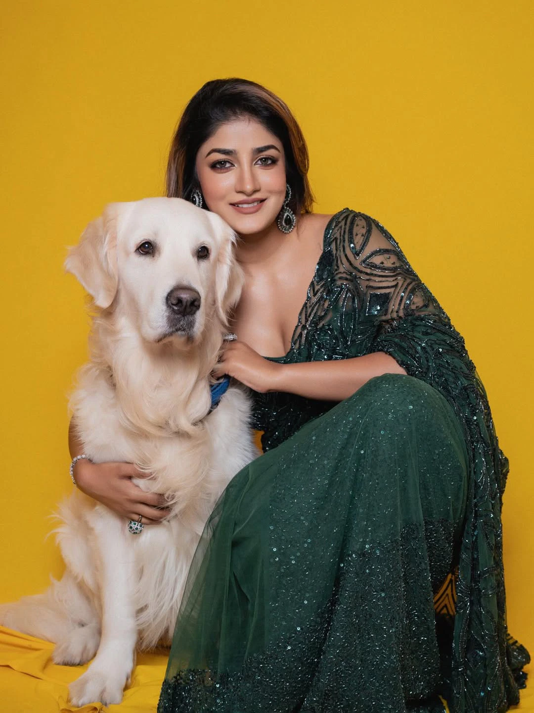 Dimple Hayathi Shines in Saree