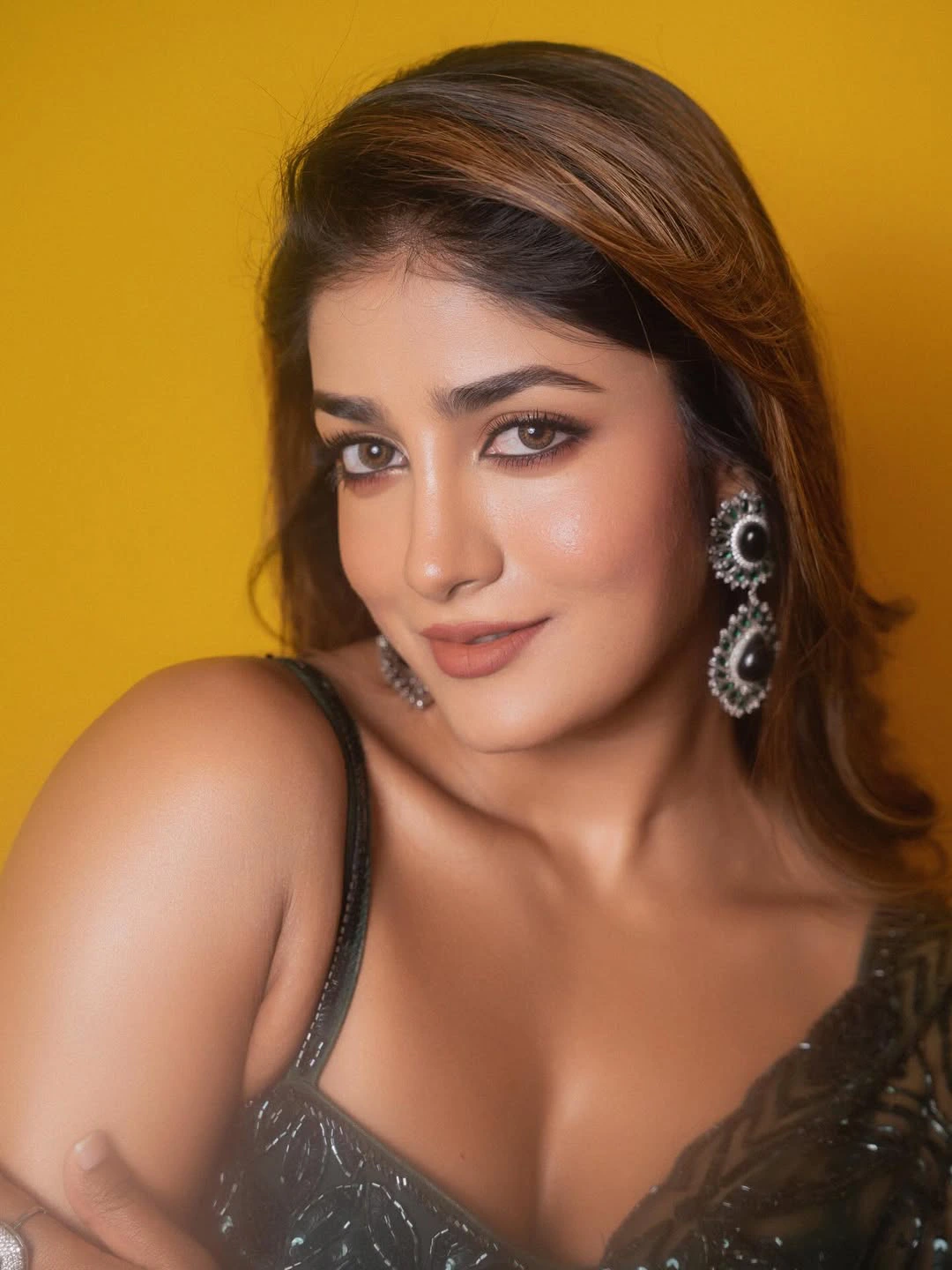 Dimple Hayathi Shines in Saree