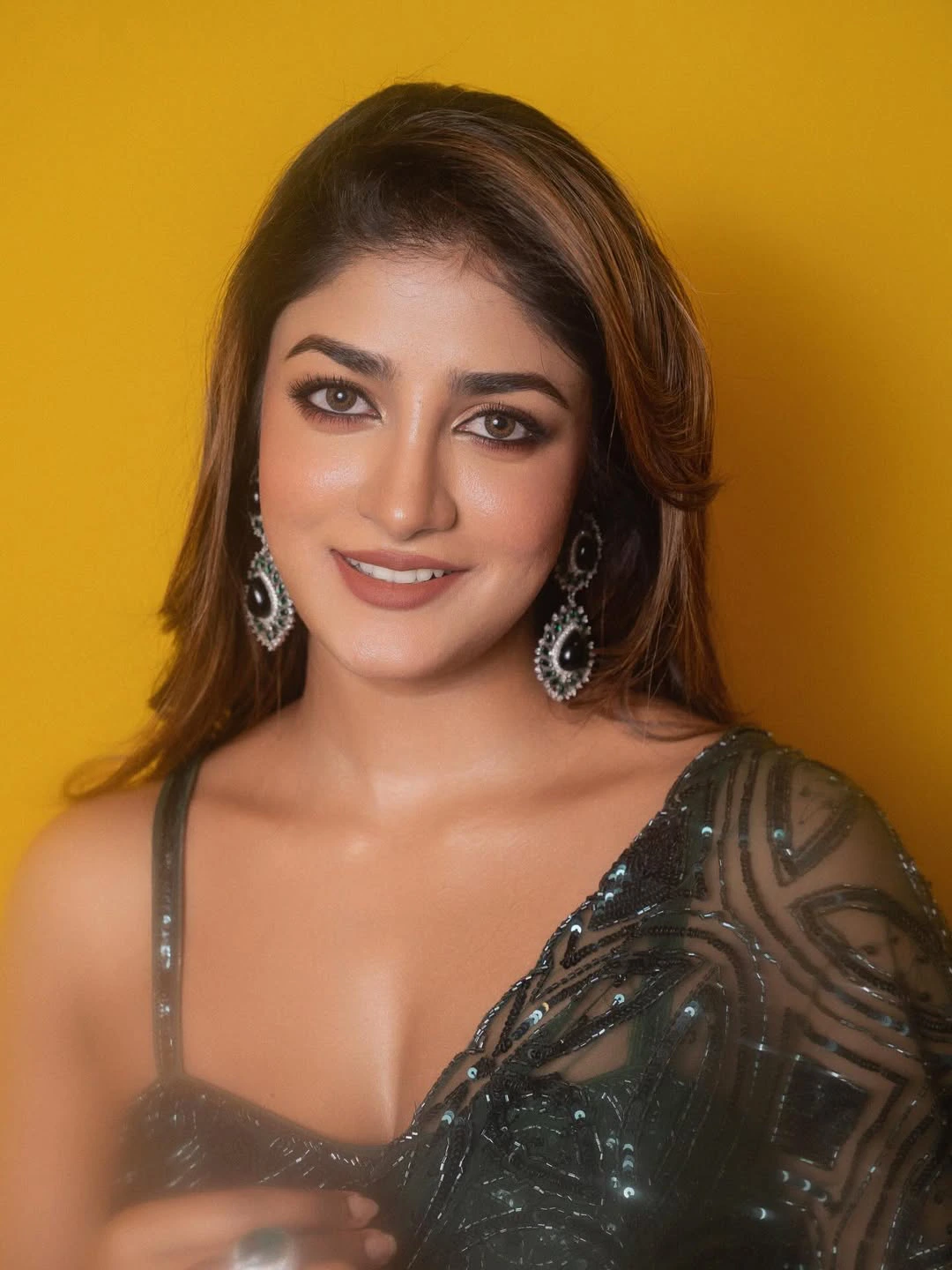 Dimple Hayathi Shines in Saree