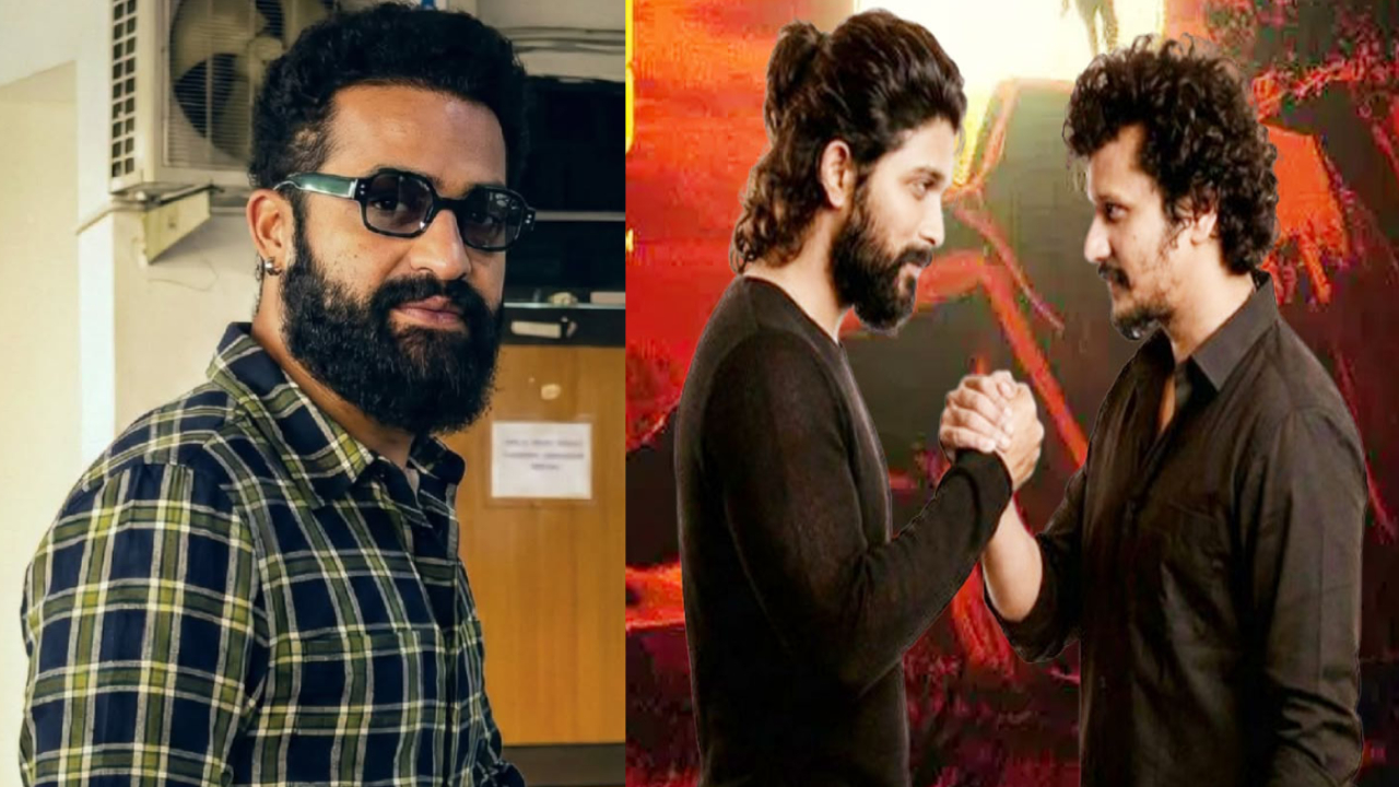 Ntr: అల్లు అర్జున్- లోకేష్ మూవీ సెట్.. సంబరాలు చేసుకుంటున్న ఎన్టీఆర్ ఫ్యాన్స్.. ఇక తగ్గేదే లే అంటున్నారు!