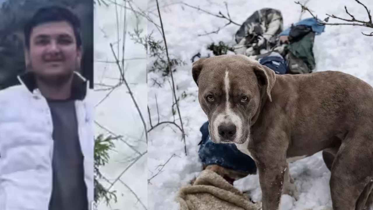 Dog Loyal: కన్నీళ్లు పెట్టించే దృశ్యం.. ప్రాణం తీసేంత చలిలోనూ.. 3రోజులు యజమాని శవం దగ్గరే శునకం