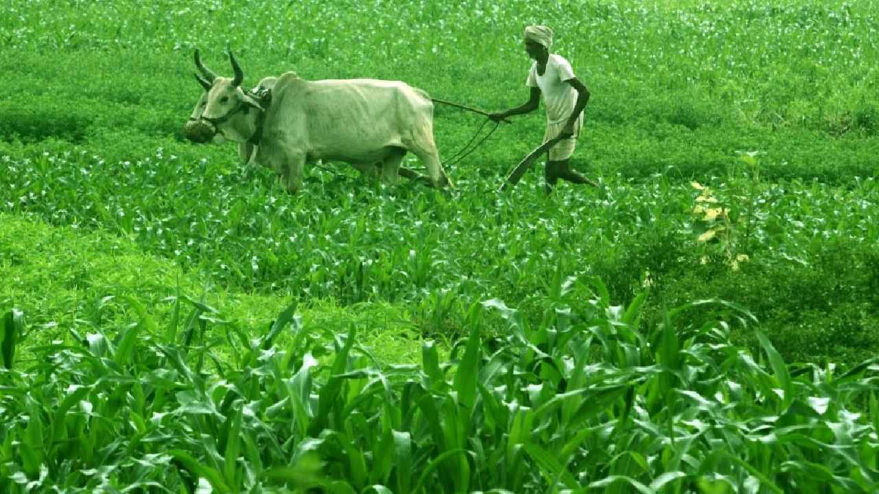 Rythu Bharosa: రైతులకు శుభవార్త.. ఖాతాల్లోకి 6 వేల రూపాయలు పడేది ఎప్పుడంటే..