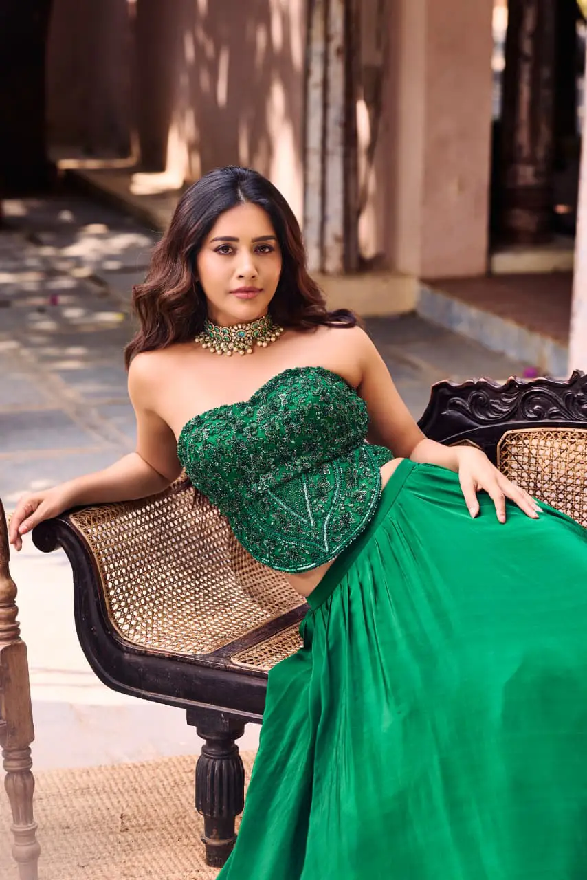 Nabha Natesh latest hot photos (1)