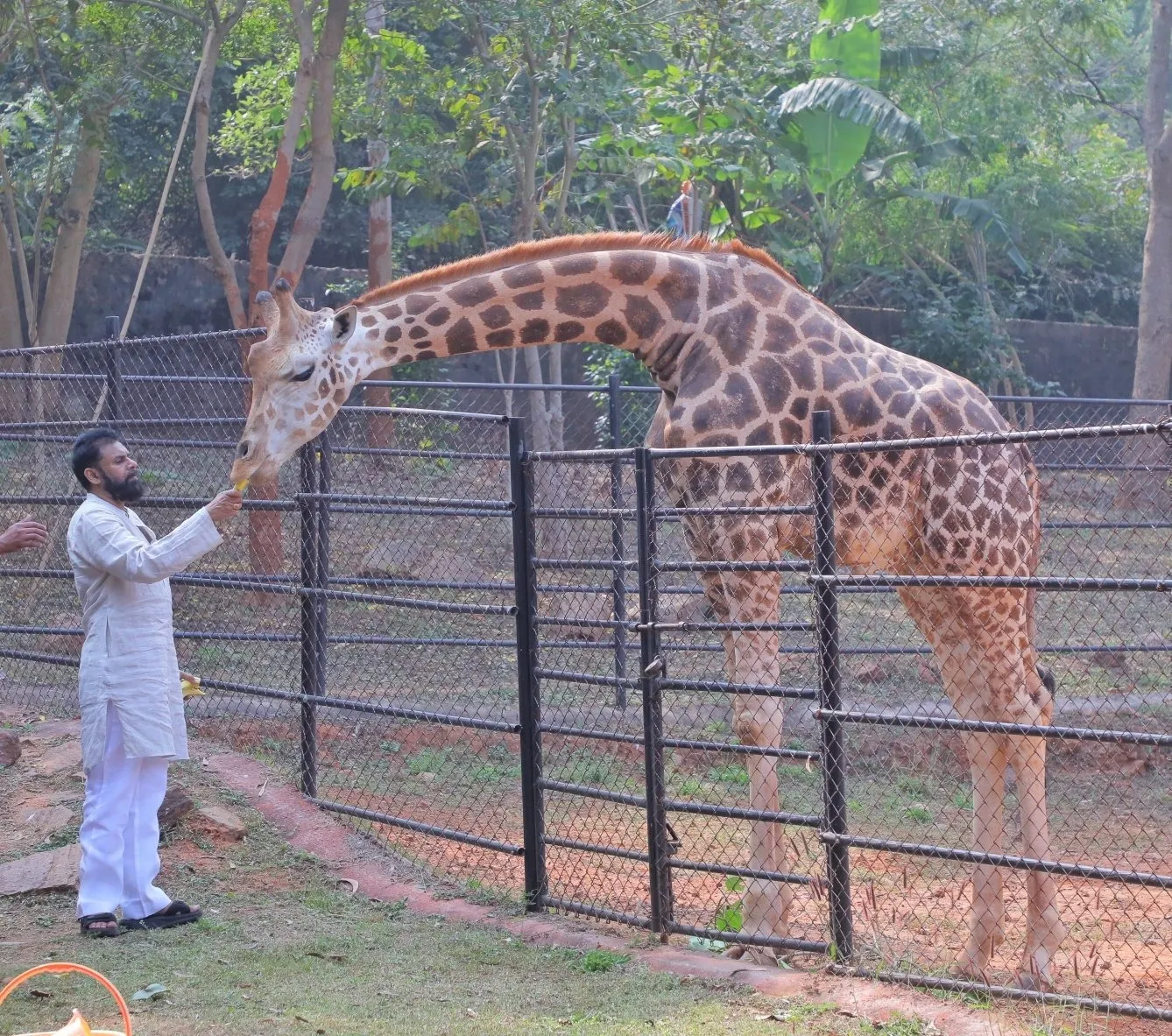 Pawan Kalyan Visits Vizag Zoo Park