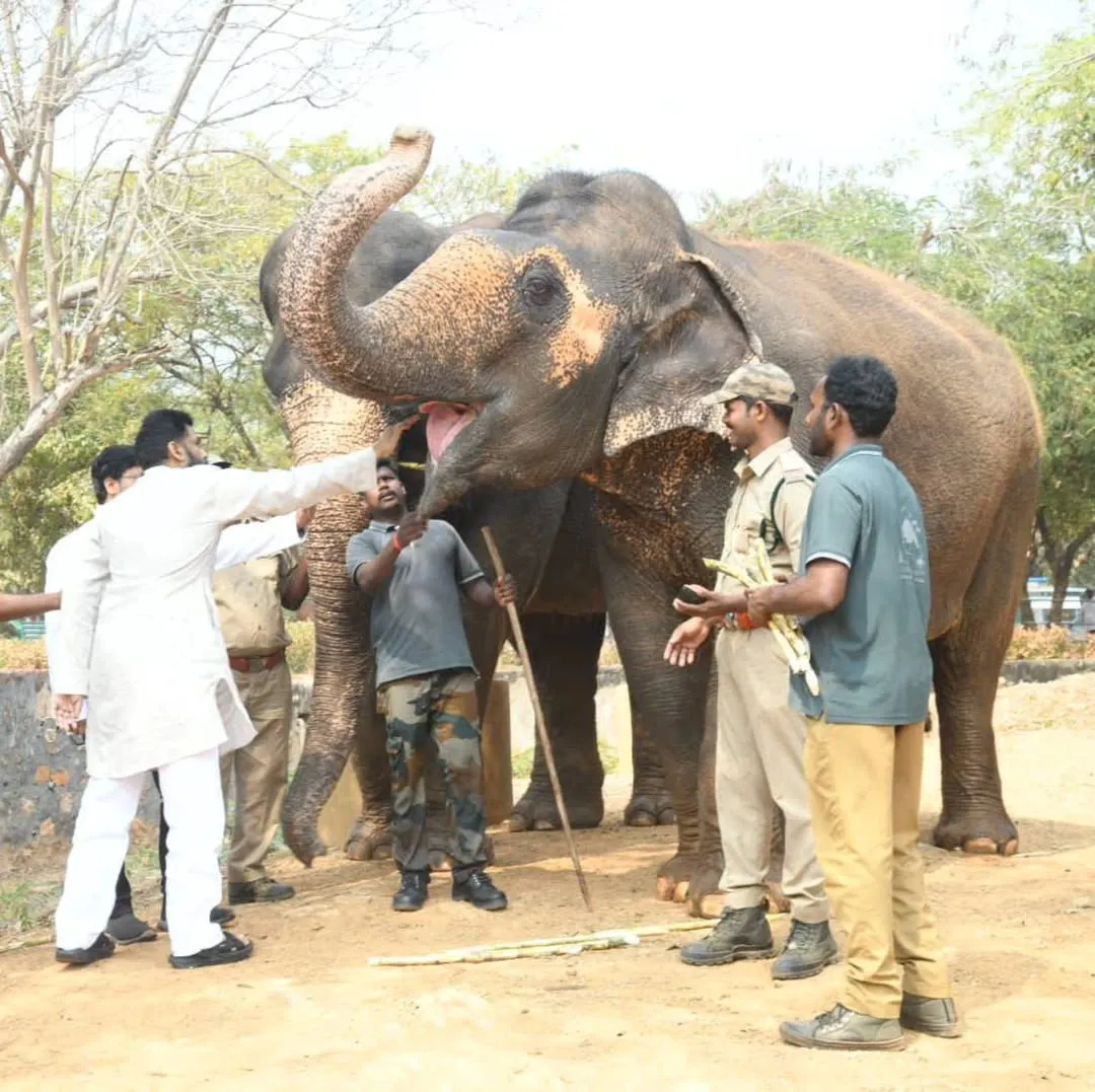Pawan Kalyan Visits Vizag Zoo Park