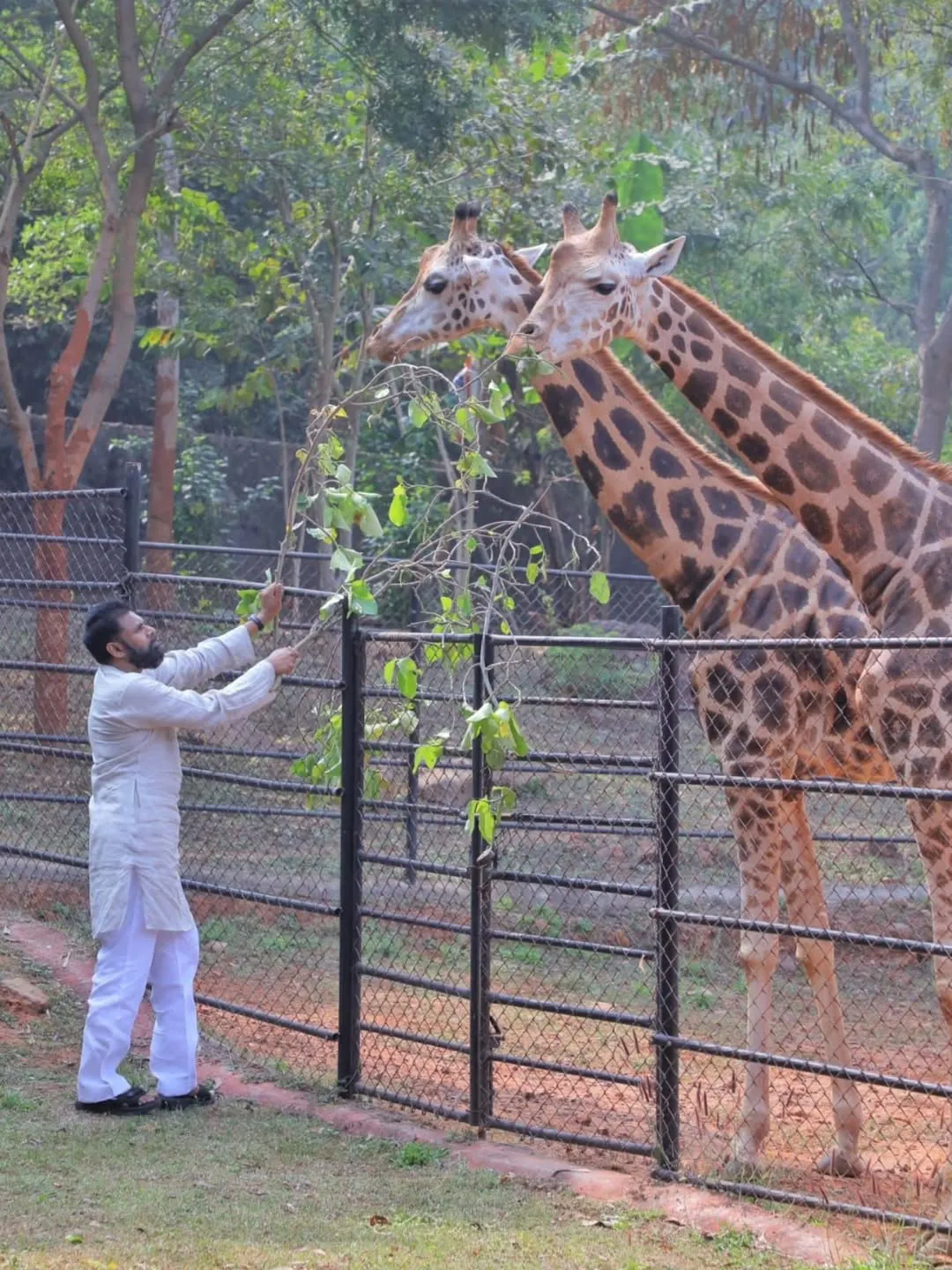 Pawan Kalyan Visits Vizag Zoo Park