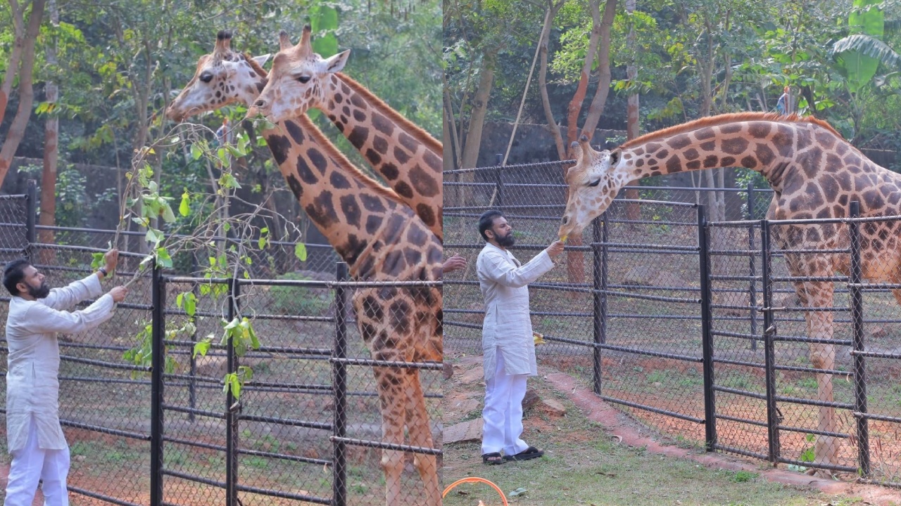 Pawan Kalyan : జిరాఫీలను దత్తత తీసుకున్న పవన్ కళ్యాణ్.. వైజాగ్ జూ పార్క్ లో పవన్.. ఫొటోలు..