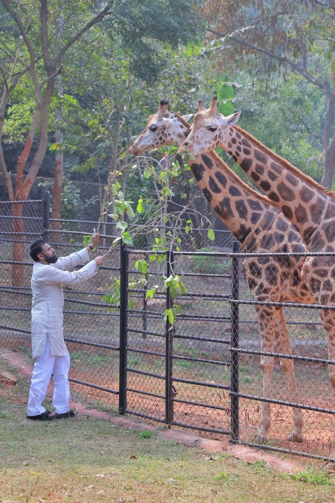 Pawan Kalyan Visits Vizag Zoo Park