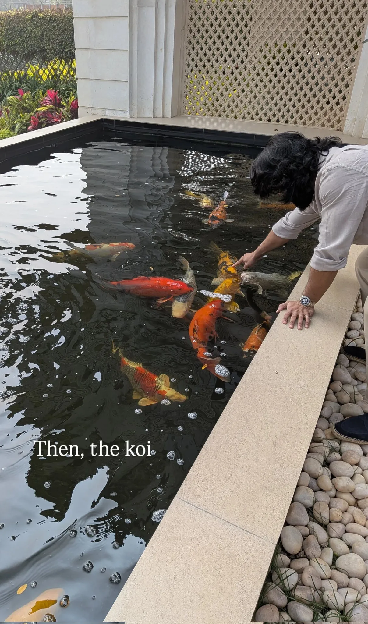 Biryani Festival in Ram Charan House