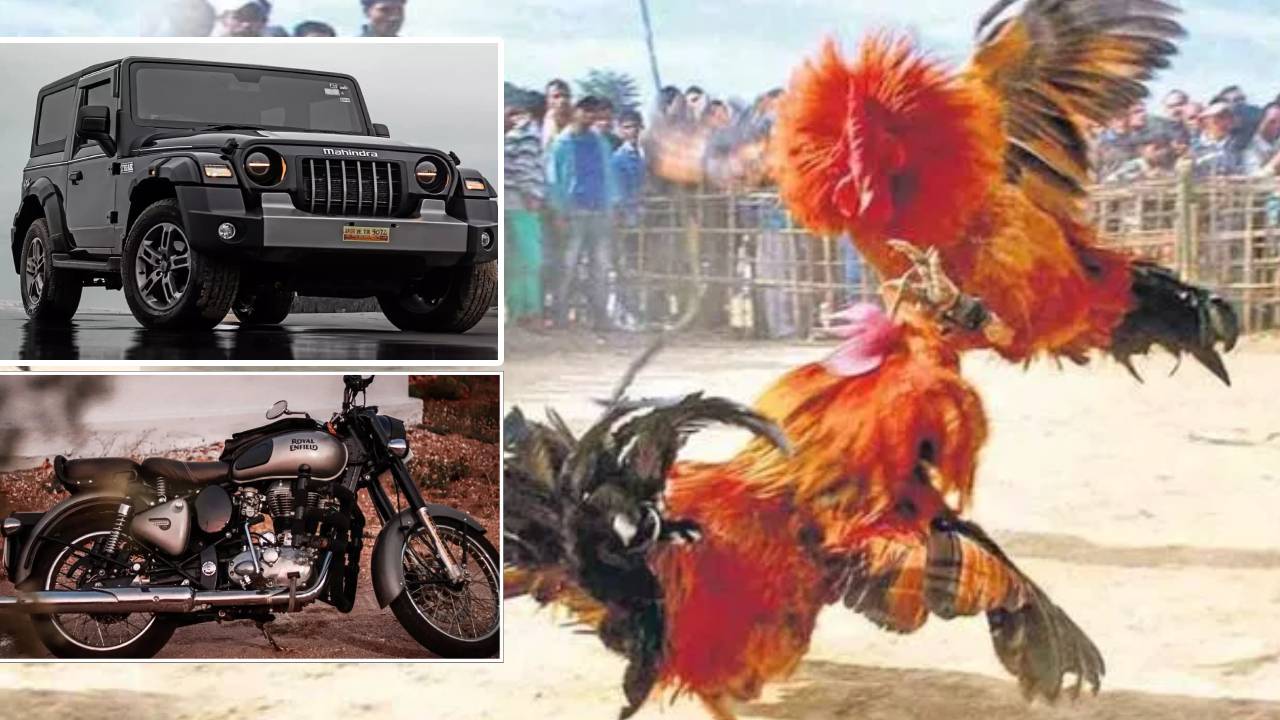 Sankranti Cockfighting : కోడి పందాల్లో కళ్లు చెదిరే బహుమతులు.. కార్లు, బైక్‌లు సహా.. బుల్లెట్ బైక్ గెలుచుకున్న ఎమ్మెల్యే