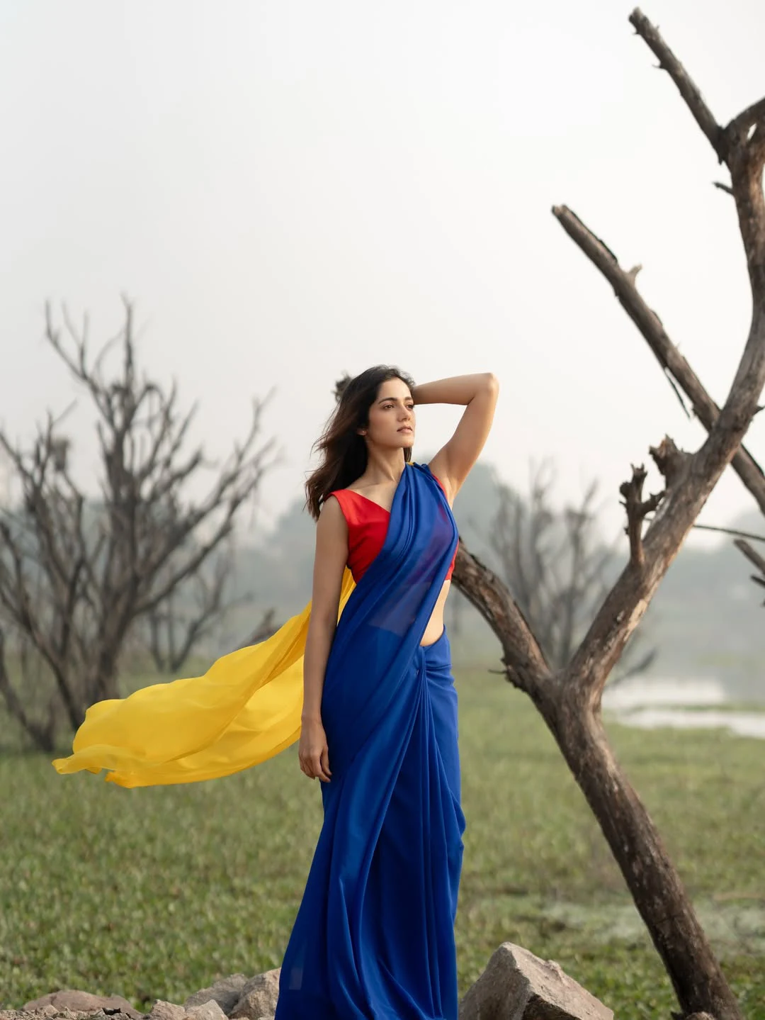 Simran Choudhary Stunning Looks in Saree