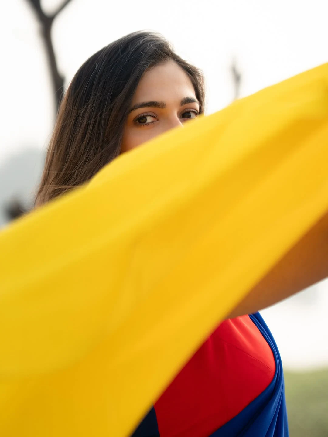 Simran Choudhary Stunning Looks in Saree