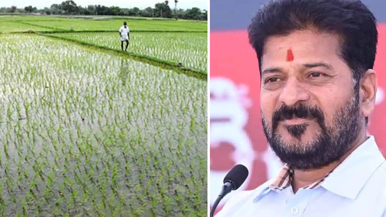 Telangaana Govt : తెలంగాణ ప్రభుత్వం కీలక నిర్ణయం.. ఆ ప్రాంతాల్లోని రైతులకు భారీ శుభవార్త.. ఉచితంగా రూ.6 లక్షలు.. నెలకు రూ.3వేల నుంచి 5వేలు