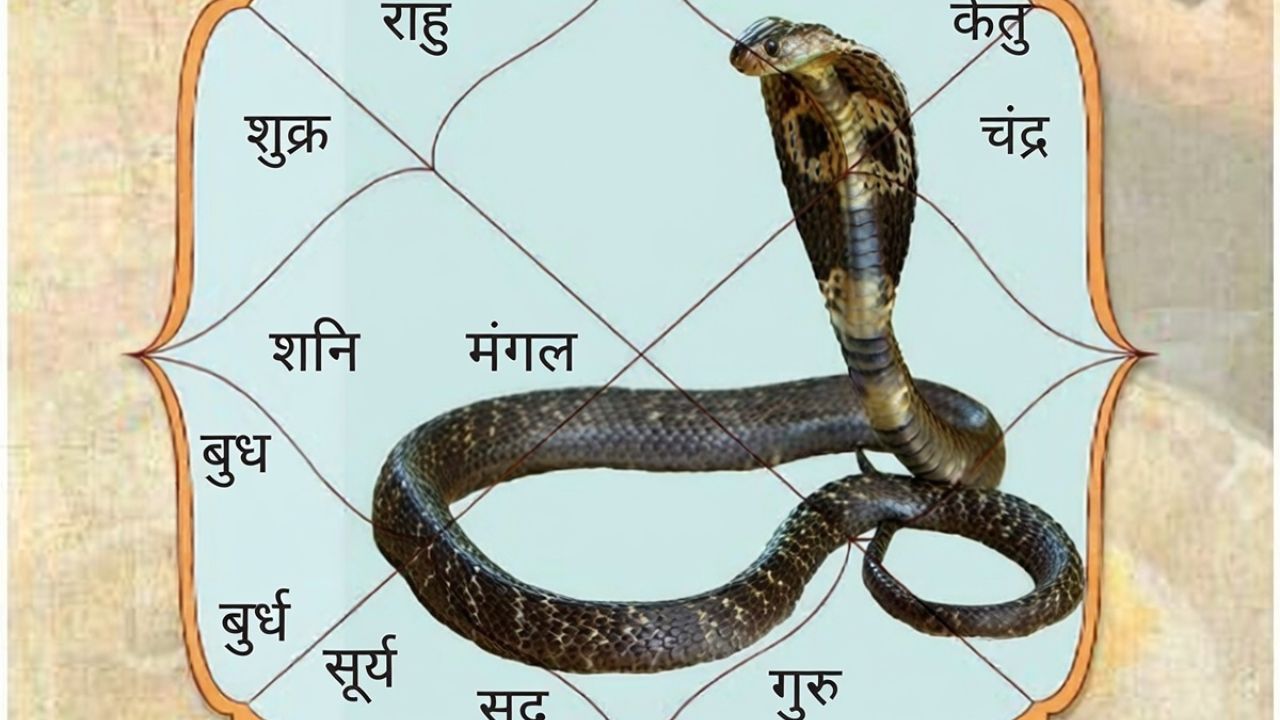 Kaal Sarp Yog: కేతువు రెమెడీస్‌ ఇవే.. కష్టాలన్నీ తొలగిపోయి, లైఫ్ అంతా హ్యాపీ