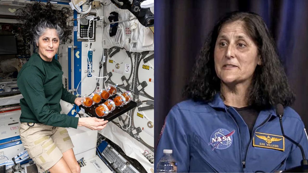 స్పేస్‌కు వెళ్లినప్పుడు ఒక కొత్త విషయం కనిపించింది: భారత్‌ గురించి సునితా విలియమ్స్‌ ఆసక్తికర వ్యాఖ్యలు