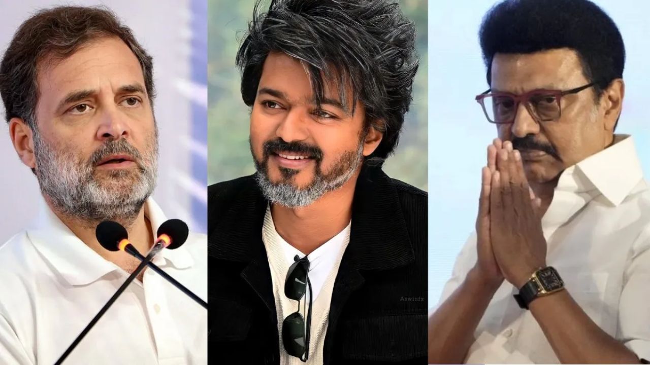 డీఎంకేను వదిలేసి, సినీనటుడు విజయ్ పార్టీతో కాంగ్రెస్ పొత్తు? ఎందుకంటే?