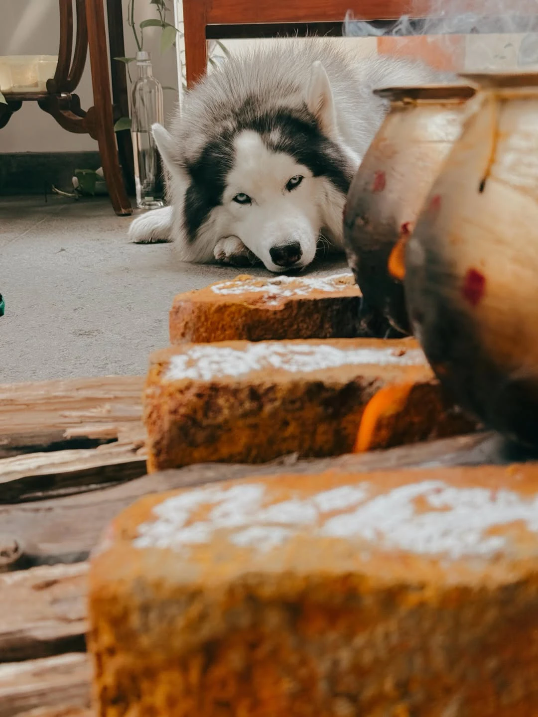 Vijay Deverakonda Sankranthi Celebrations