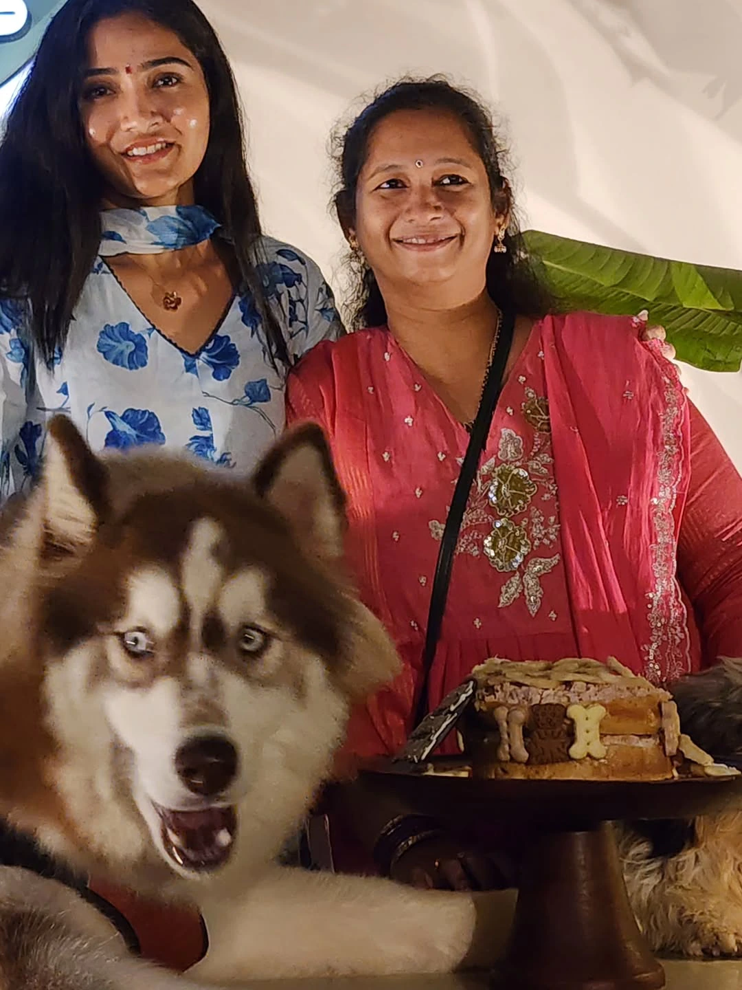 Gayathri Simhadri Celebrates her Pet Dog Birthday