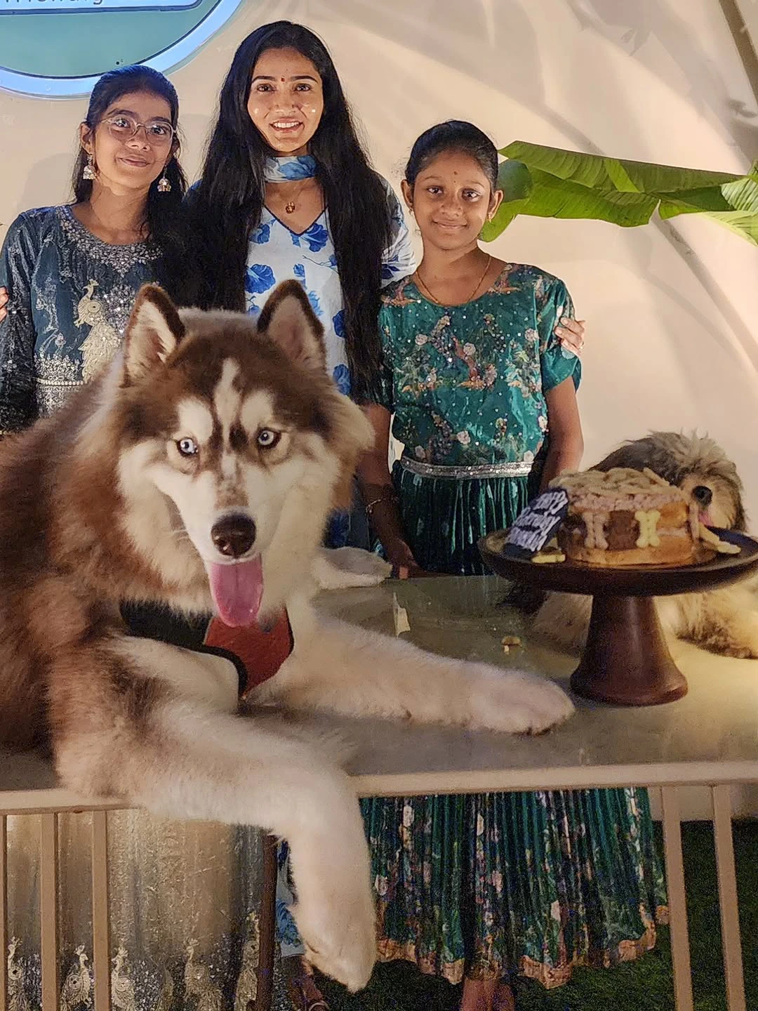 Gayathri Simhadri Celebrates her Pet Dog Birthday