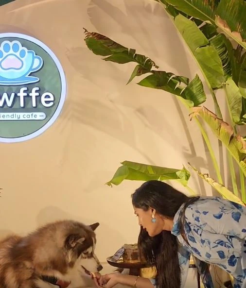 Gayathri Simhadri Celebrates her Pet Dog Birthday