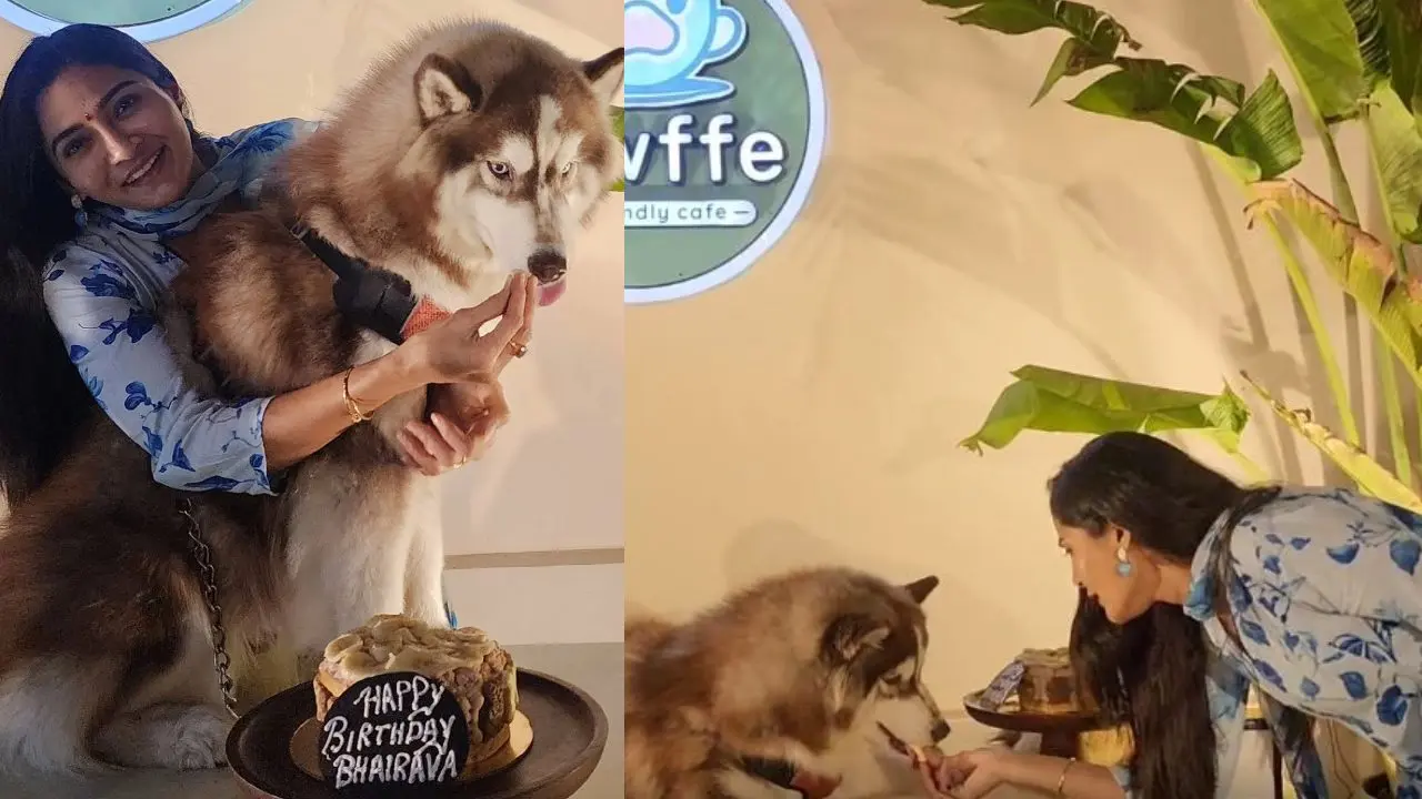 Gayathri Simhadri Celebrates her Pet Dog Birthday