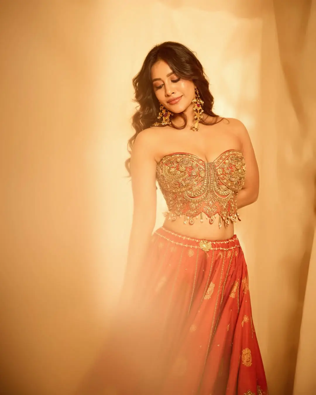 Hot beauty nabha natesh latest photo gallery