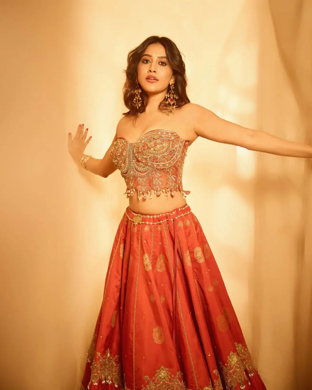 Hot beauty nabha natesh latest photo gallery