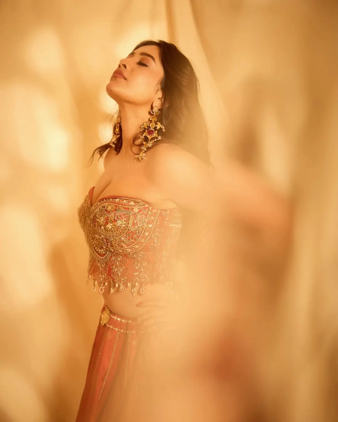 Hot beauty nabha natesh latest photo gallery