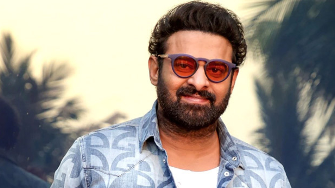 Prabhas: మా సినిమా ఆగిపోలేదు.. సరైన సమయం కోసం చూస్తున్నాం