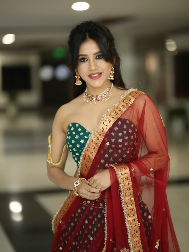 Nabha Natesh Stunning Looks like a Queen